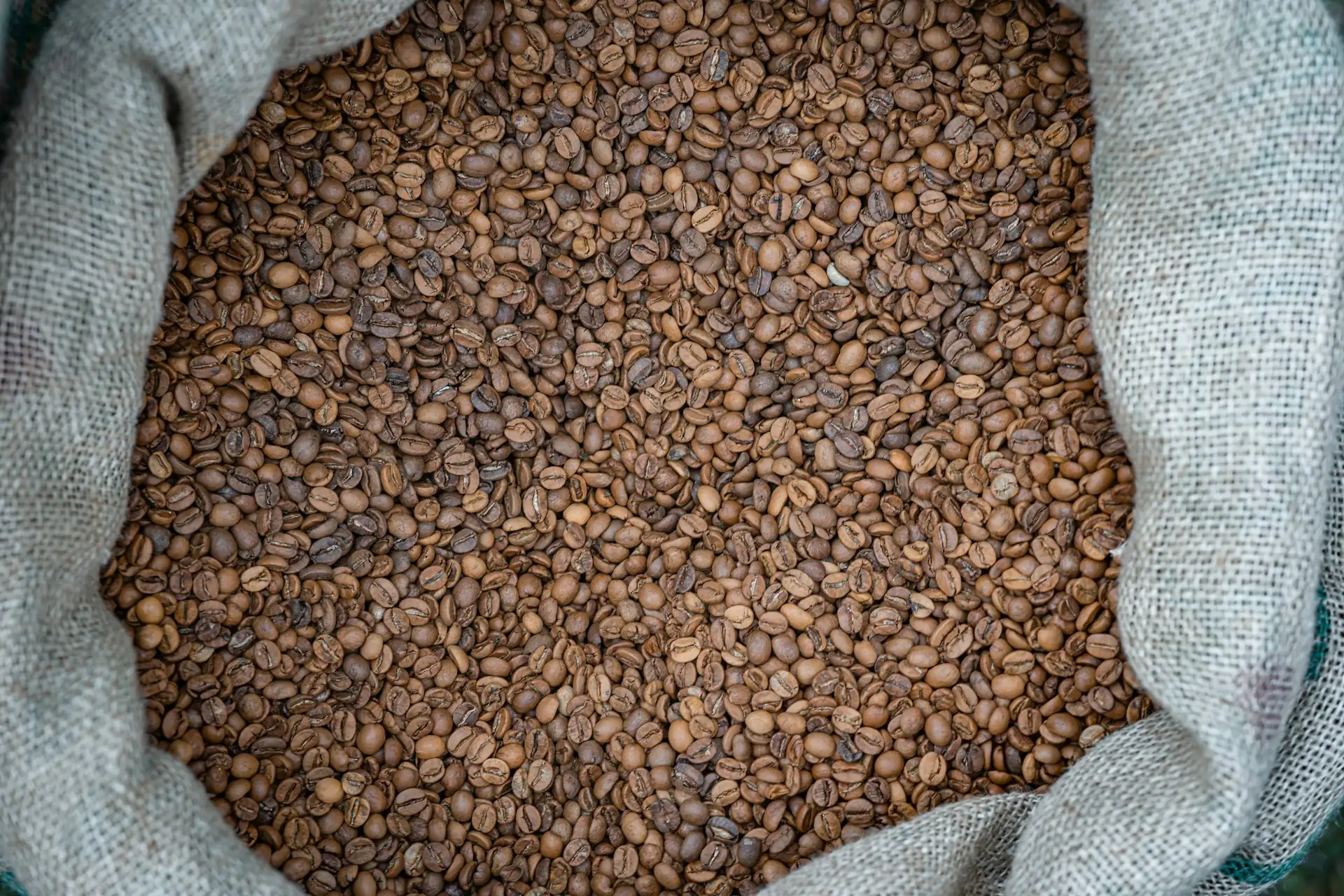 Biji kopi dalam karung goni, komoditas yang bebas tarif impor Amerika tambahan