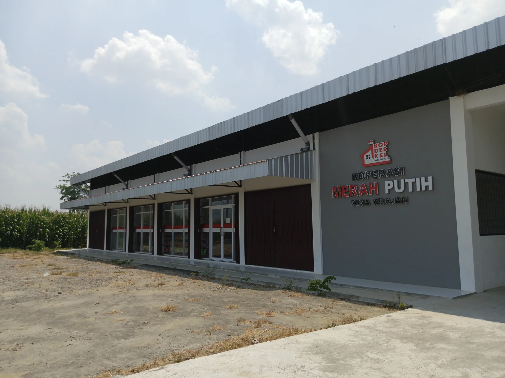 Bangunan gerai Koperasi Merah Putih Desa Krajan berdinding abu-abu dengan deretan pintu toko di tepi ladang jagung