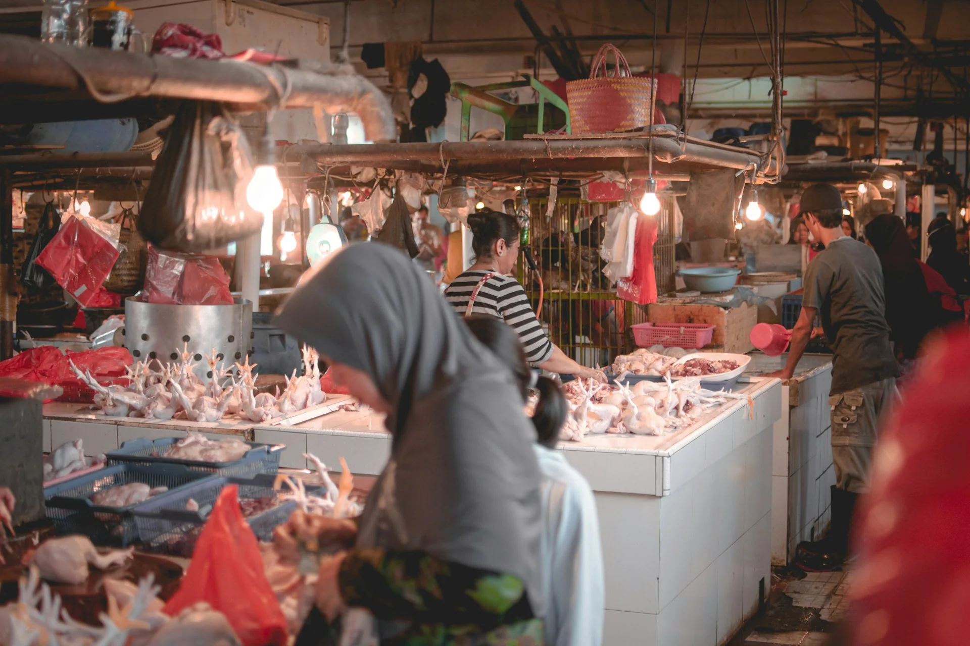 Deretan los pedagang ayam di pasar tradisional dengan beberapa penjual dan pembeli di bawah lampu gantung